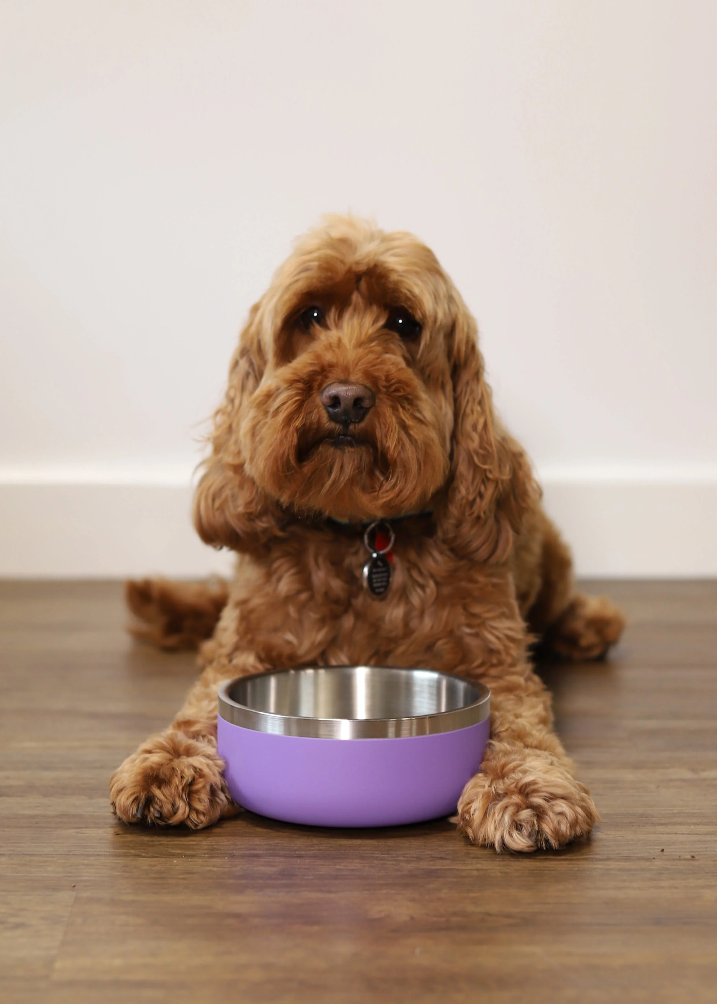 Rosewood Double Wall Stainless Steel Bowl - 350ml - Image 11