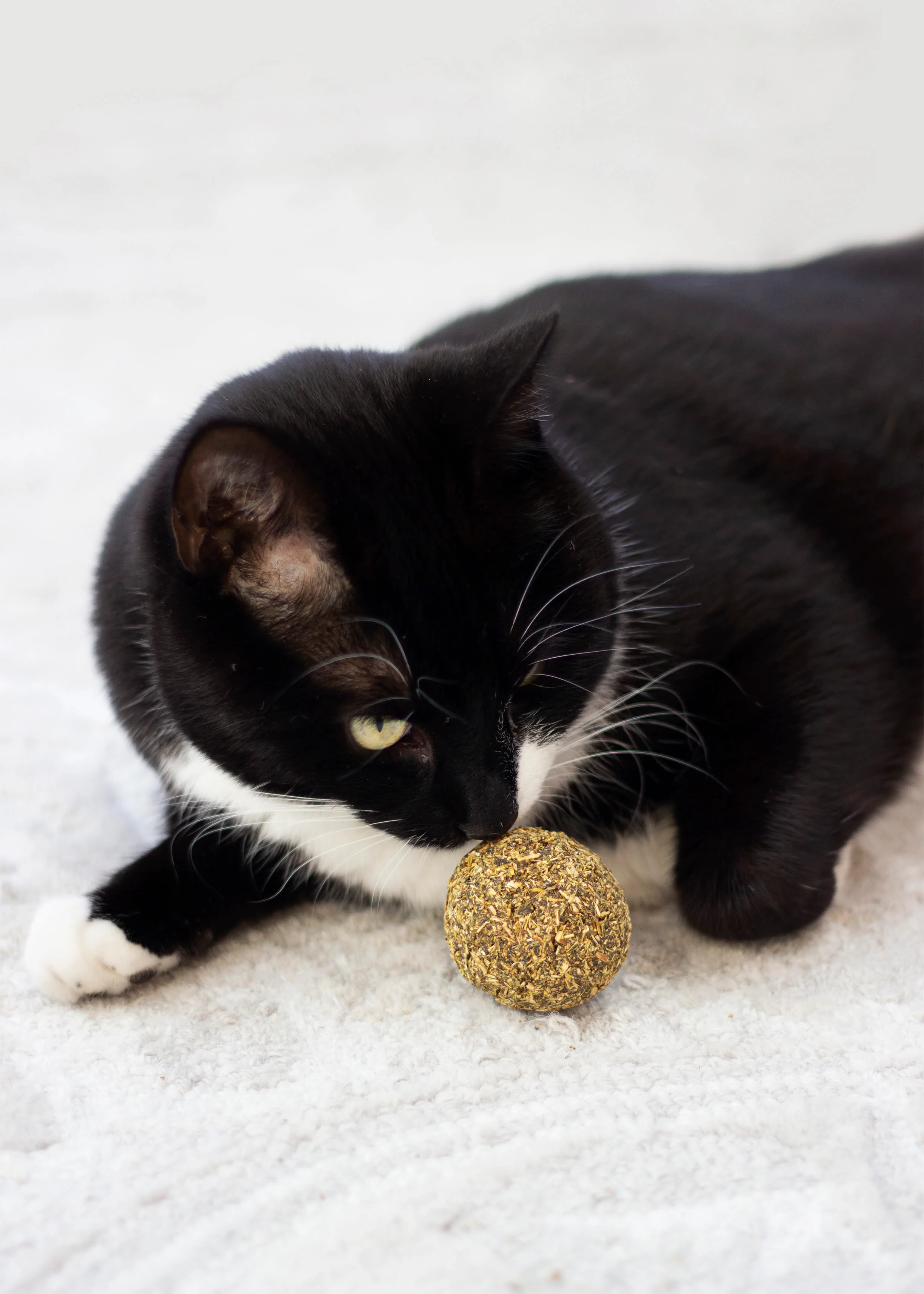 Rosewood Naturals Catnip Ball Cat Toy - Image 4