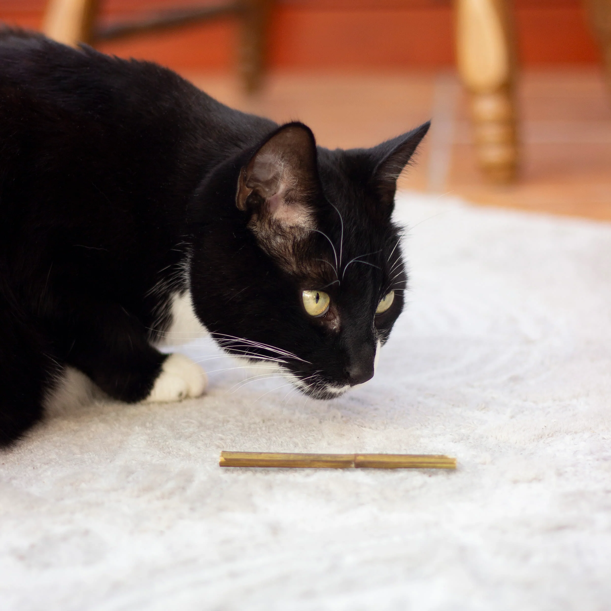 Rosewood Naturals Catnip Sticks Cat Toy - Image 3