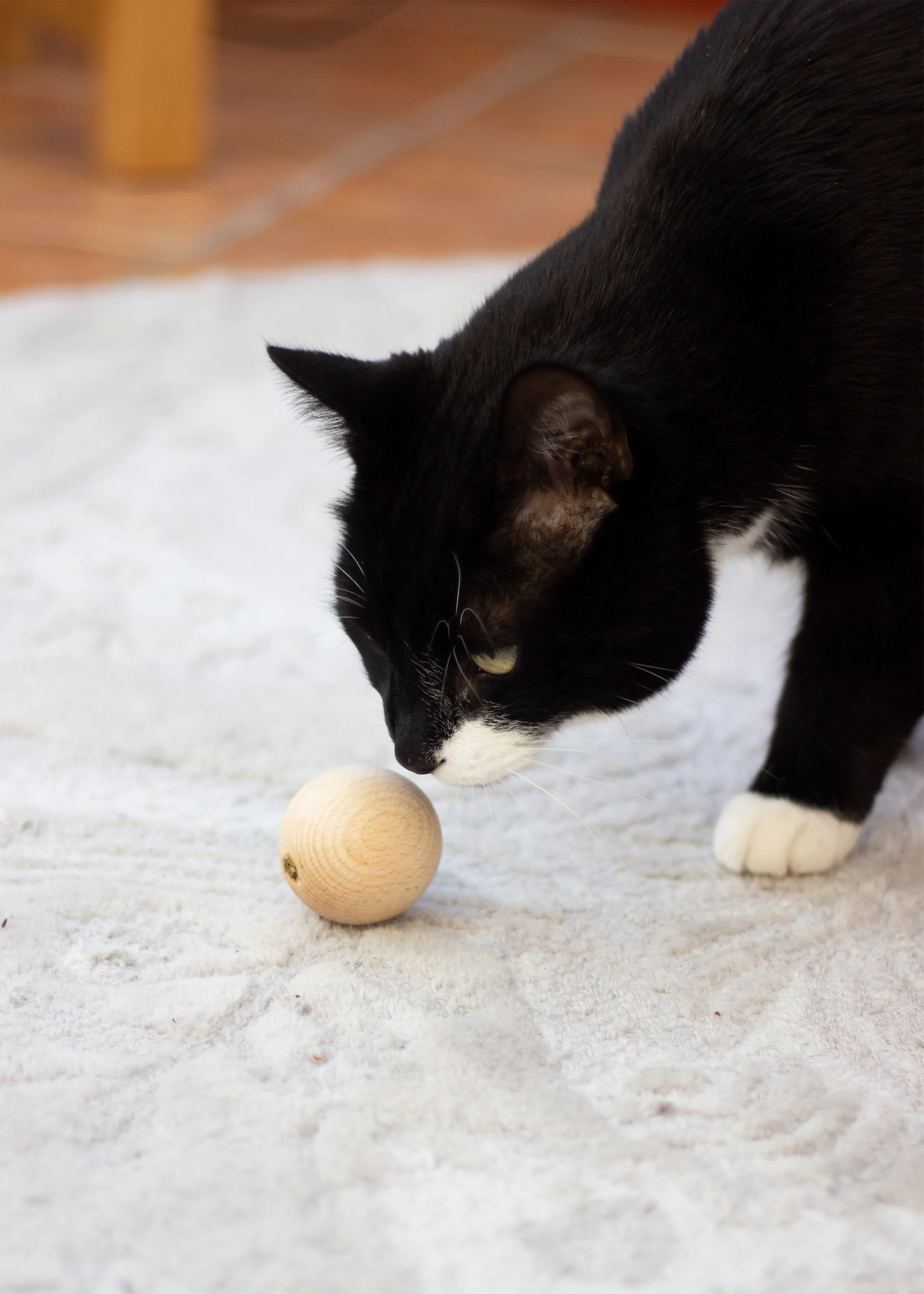 Rosewood Naturals Catnip Wooden Ball Cat Toy - Image 4