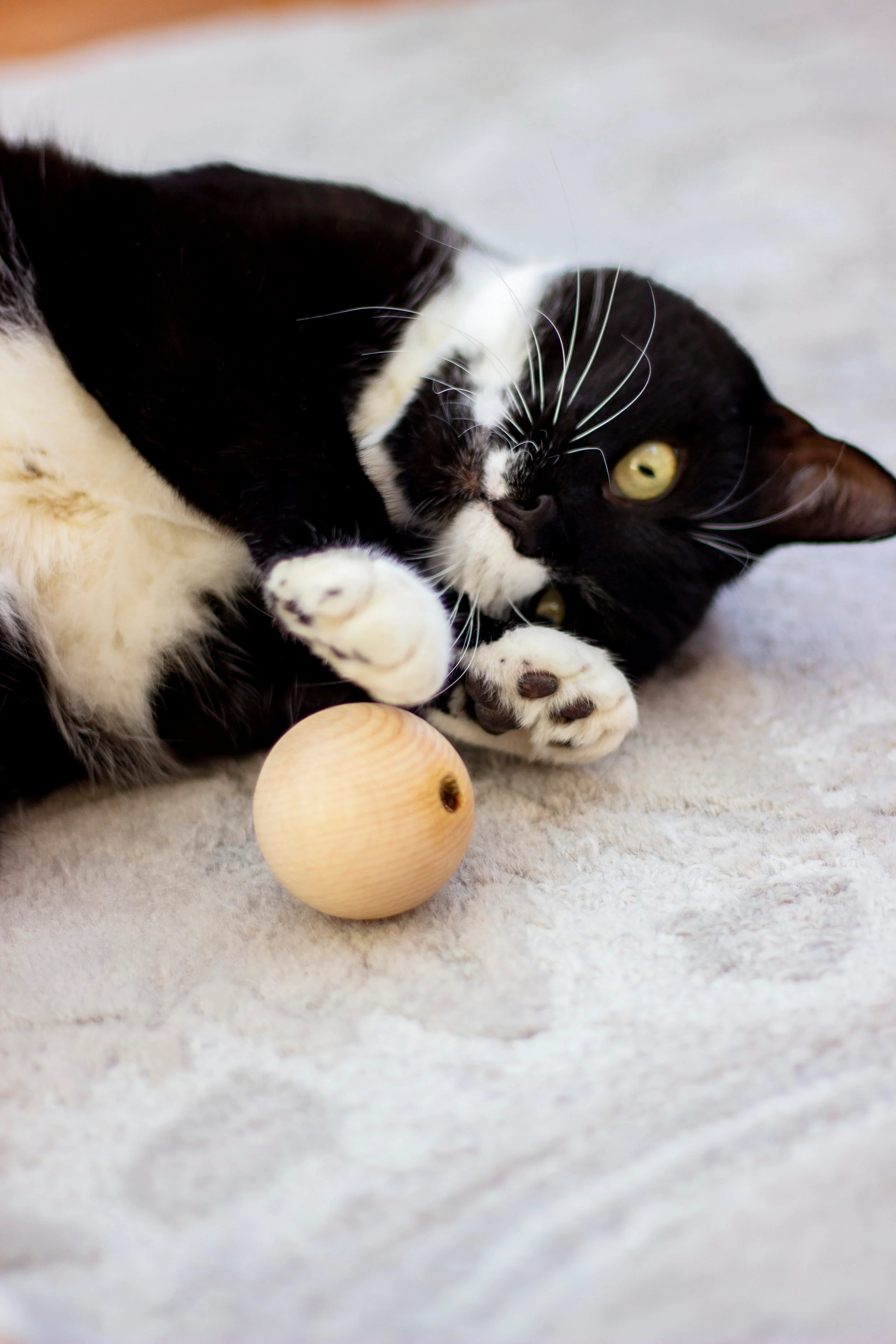 Rosewood Naturals Catnip Wooden Ball Cat Toy - Image 5