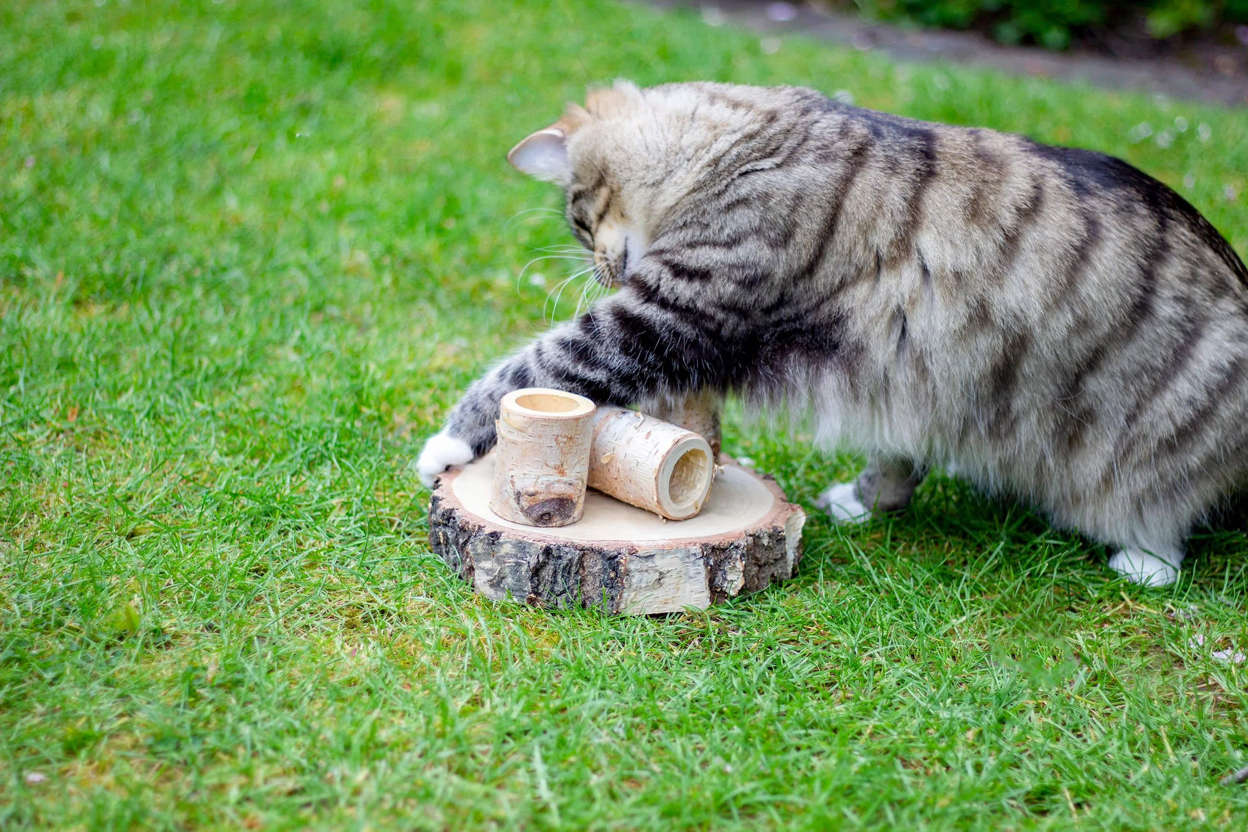 Rosewood Naturals Fun Park Cat Toy - Image 2
