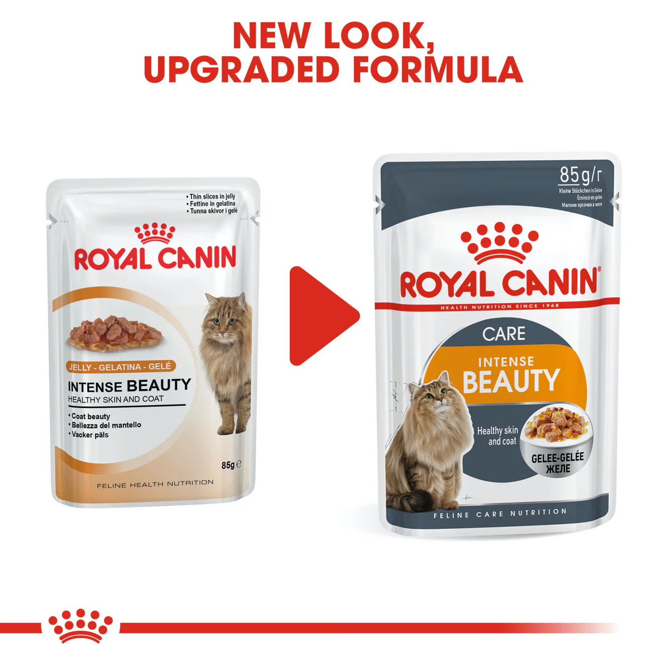Royal Canin Adult Intense Hair & Skin Wet Cat Food - Image 3