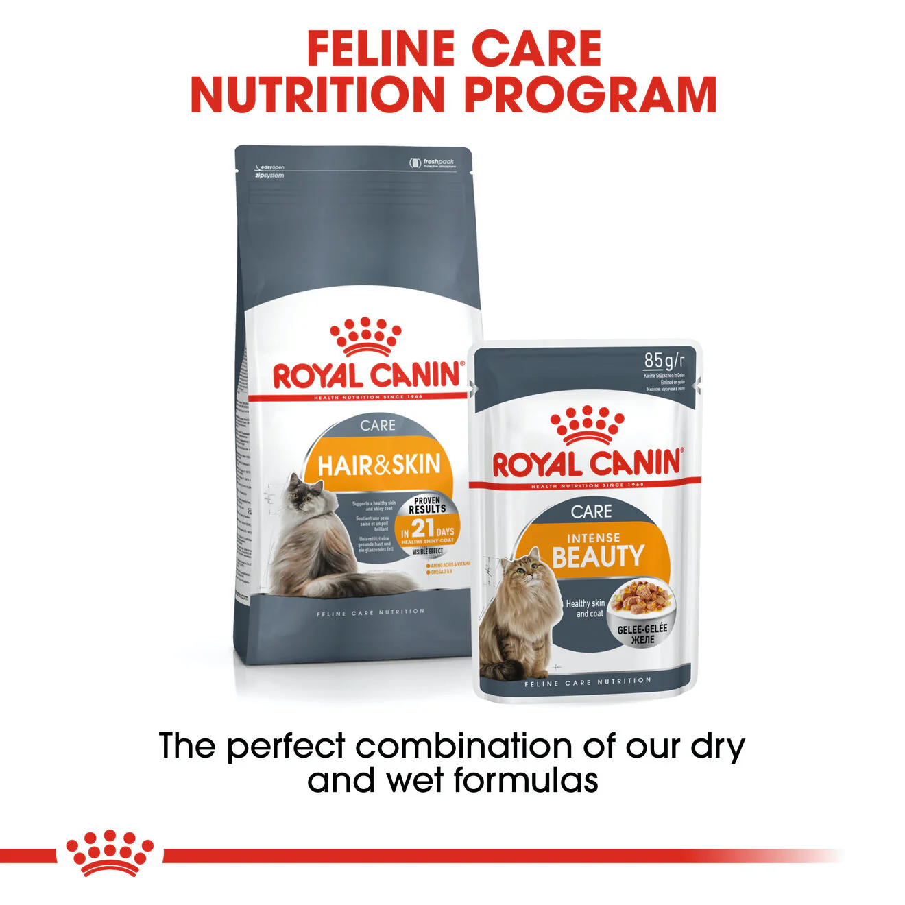 Royal Canin Adult Intense Hair & Skin Wet Cat Food - Image 4