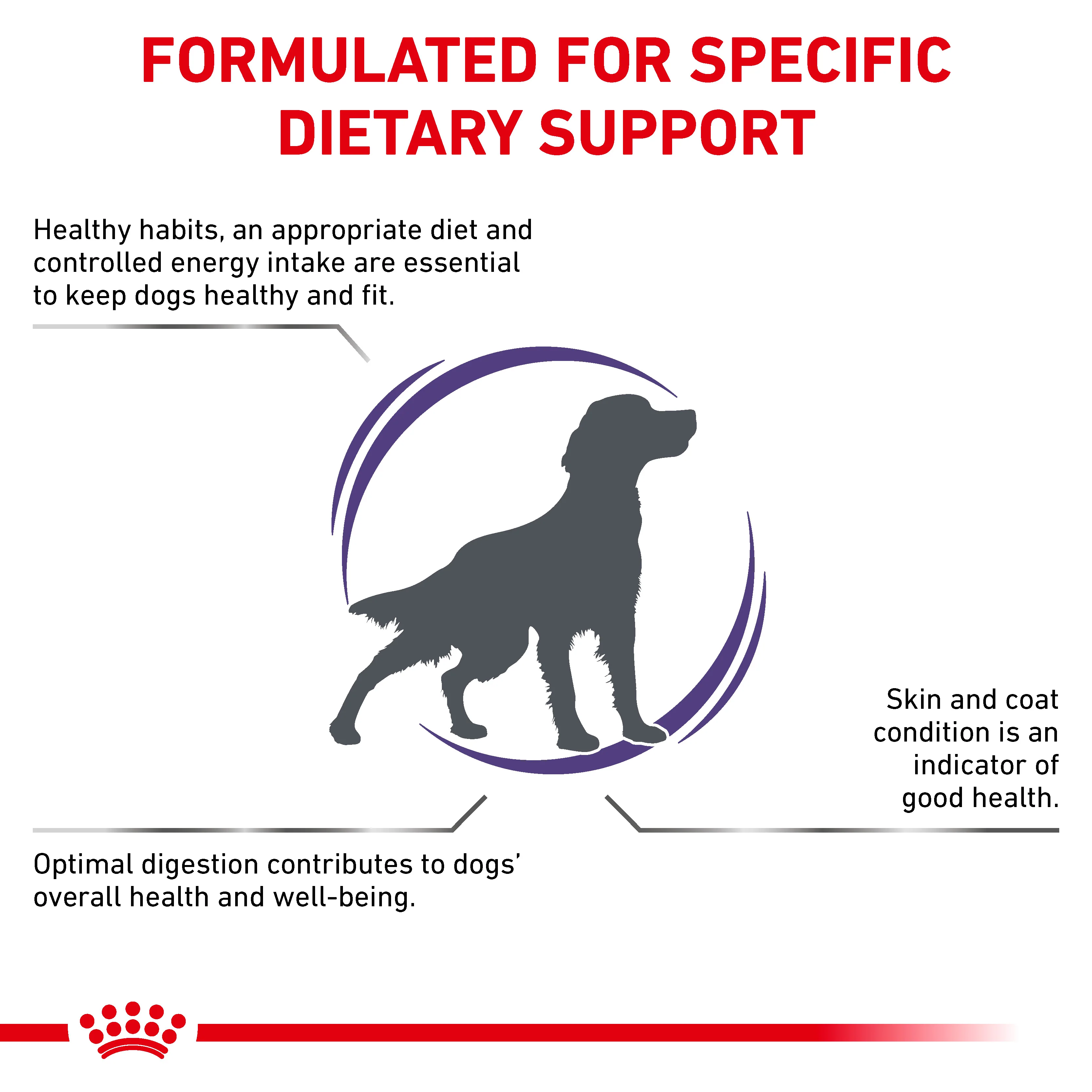 Royal Canin Adult Medium Dog Adult Dry Dog Food - Image 4
