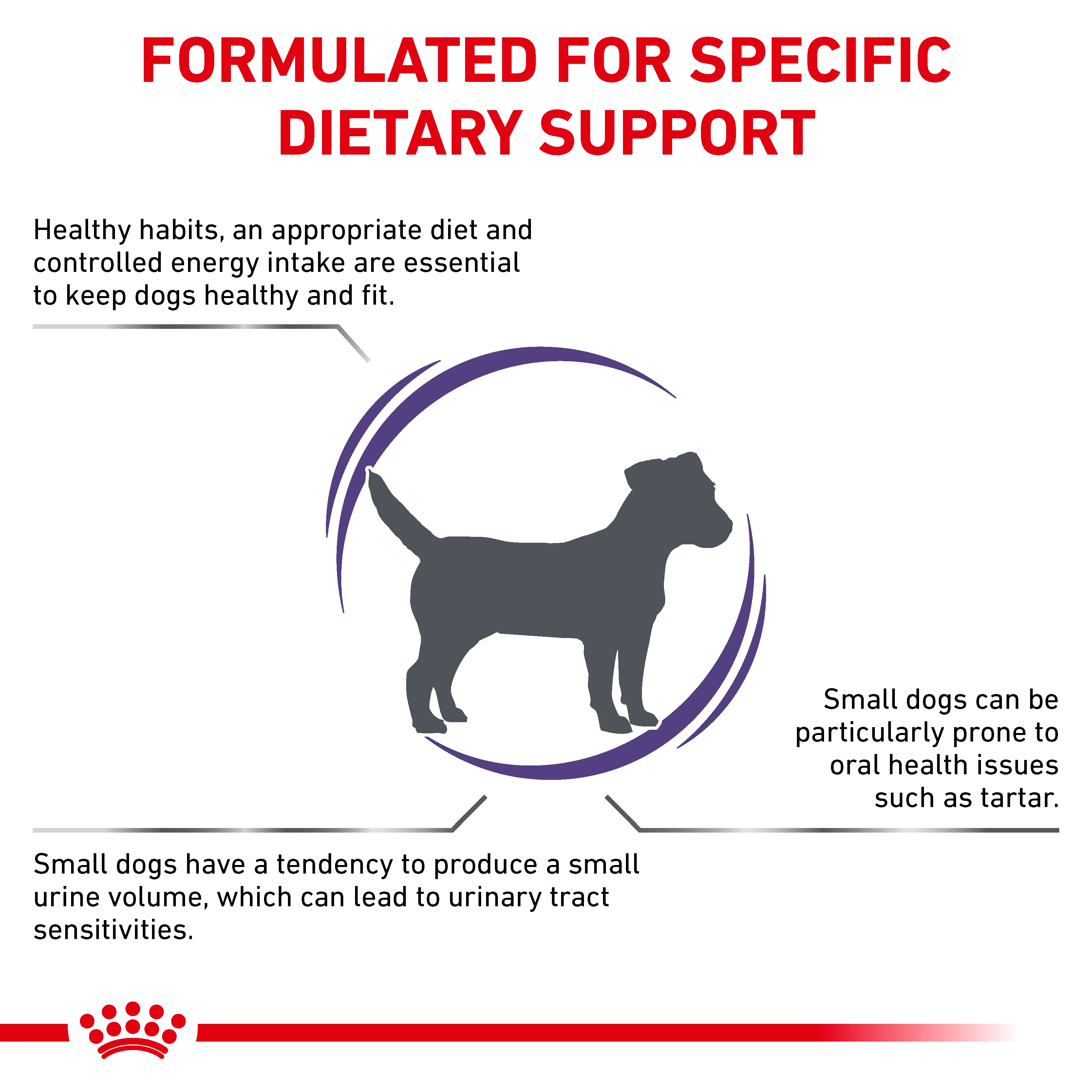 Royal Canin Adult Small Dog Adult Dry Dog Food - Image 2
