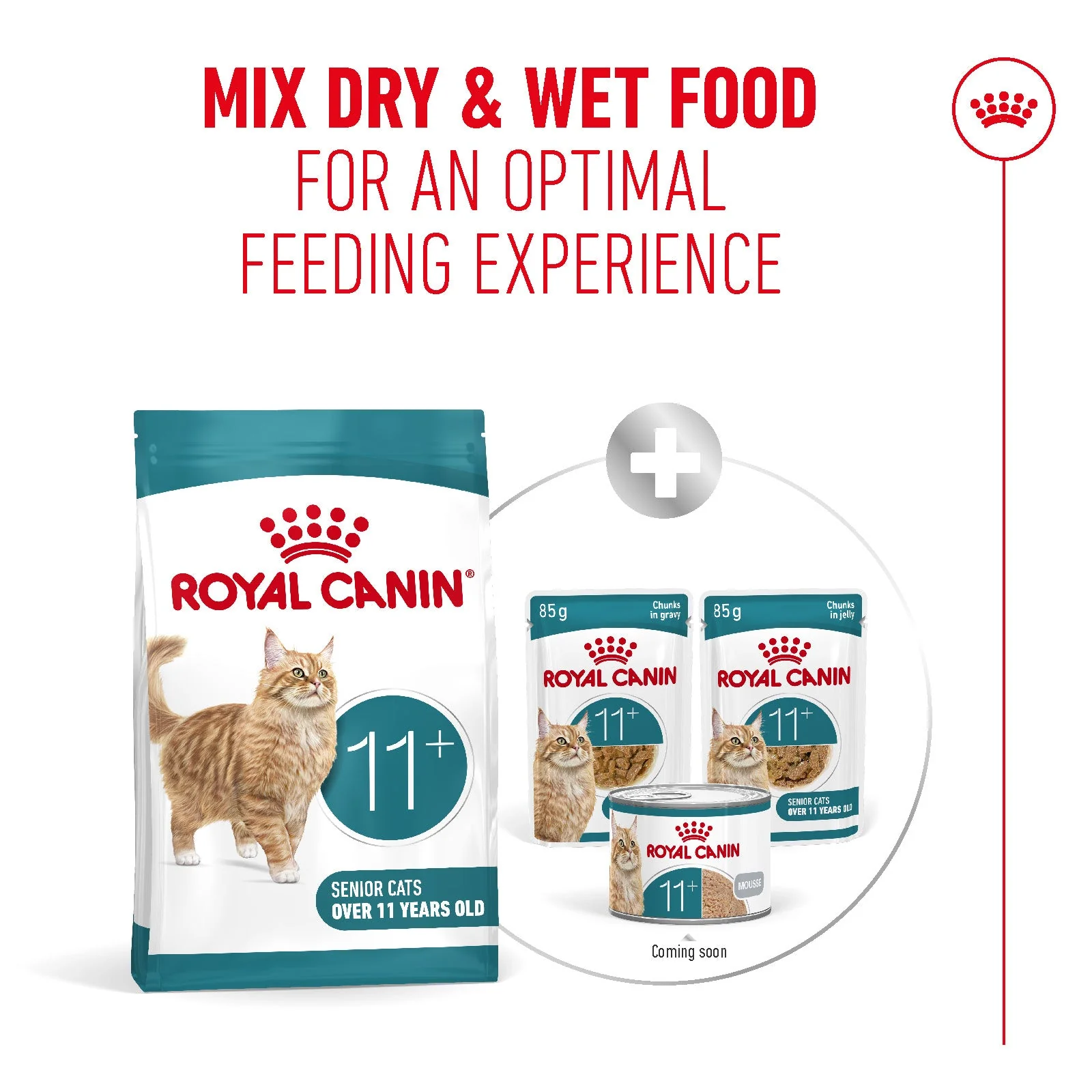 Royal Canin Ageing 11+ Senior Dry Cat Food - Image 7