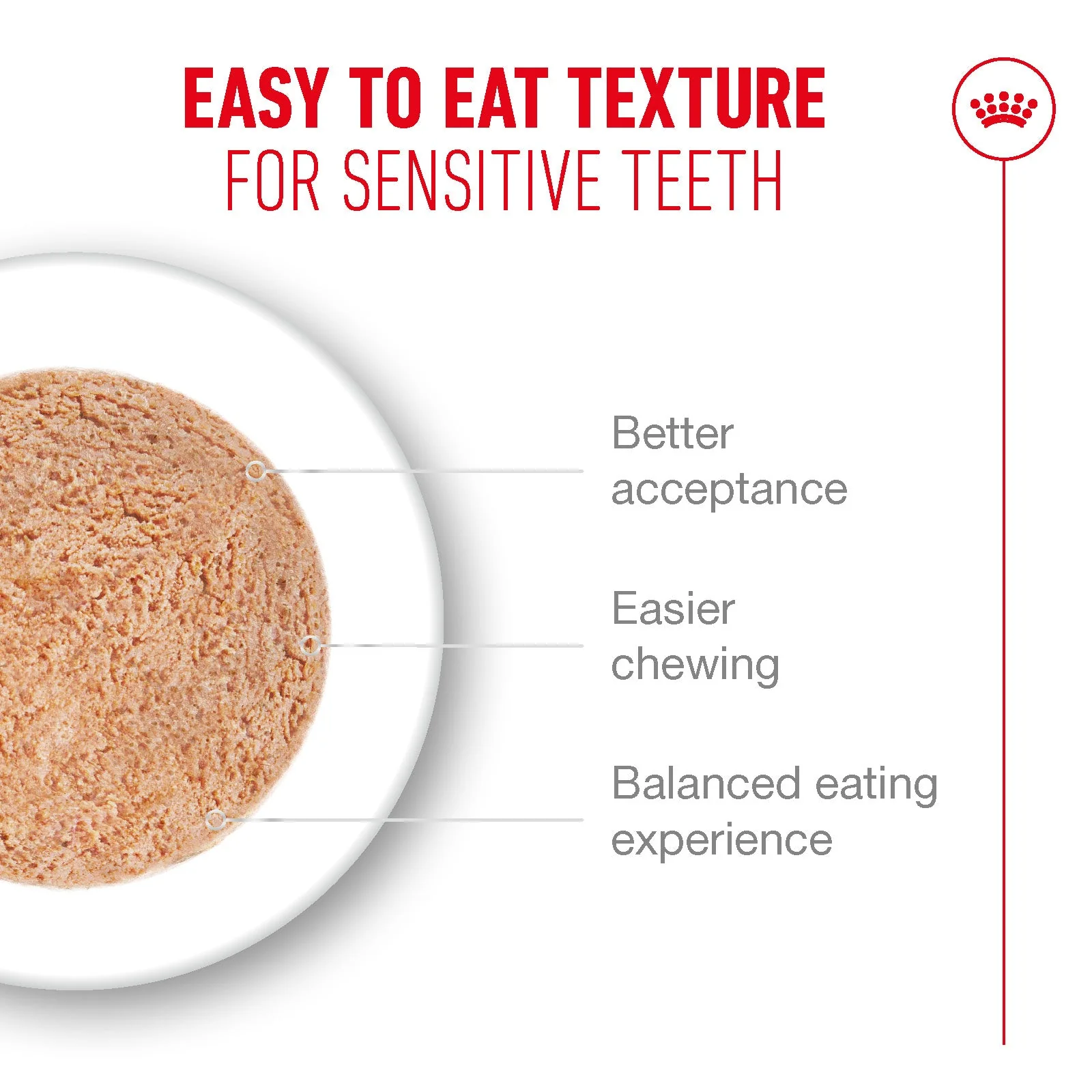 Royal Canin Ageing 11+ Senior Ultra Soft Mousse Can Wet Cat Food - Image 2