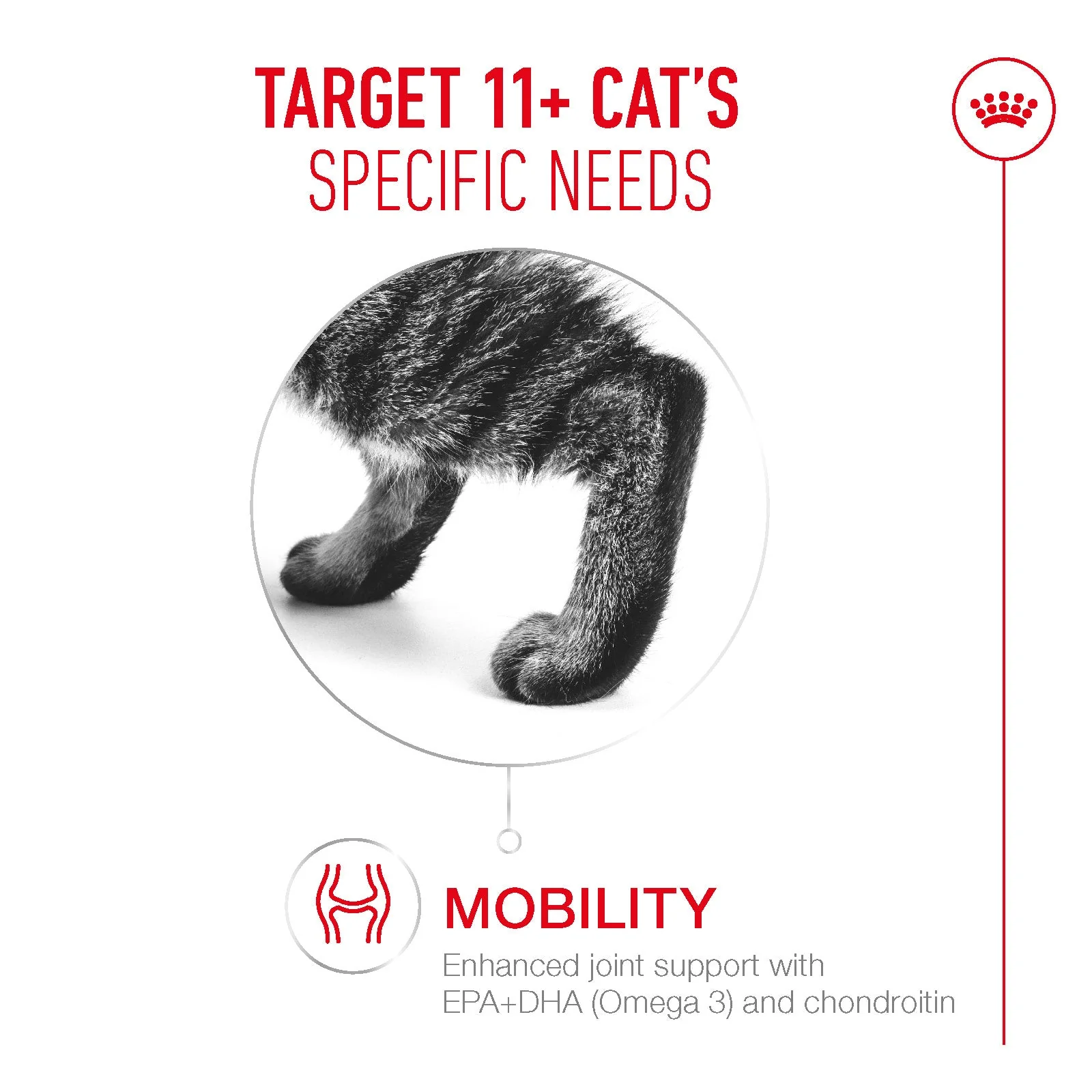 Royal Canin Ageing 11+ Senior Ultra Soft Mousse Can Wet Cat Food - Image 3