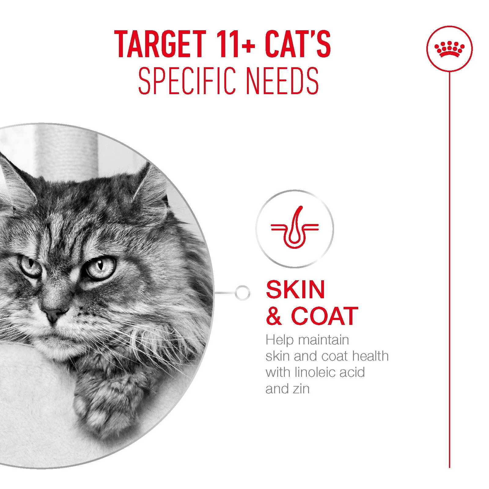 Royal Canin Ageing 11+ Senior Ultra Soft Mousse Can Wet Cat Food - Image 4
