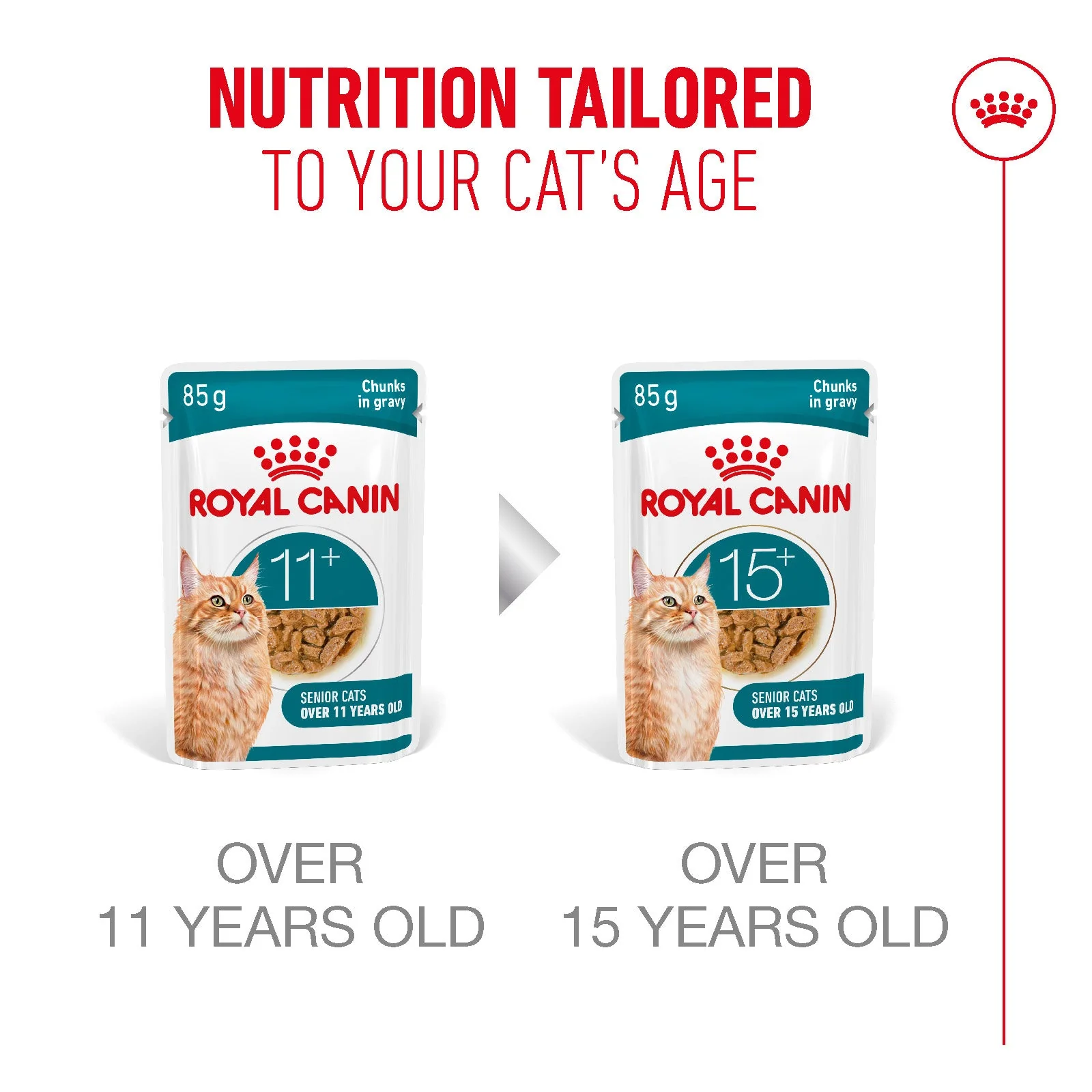 Royal Canin Ageing 11+ Senior Wet Cat Food Chunks In Gravy - Image 7
