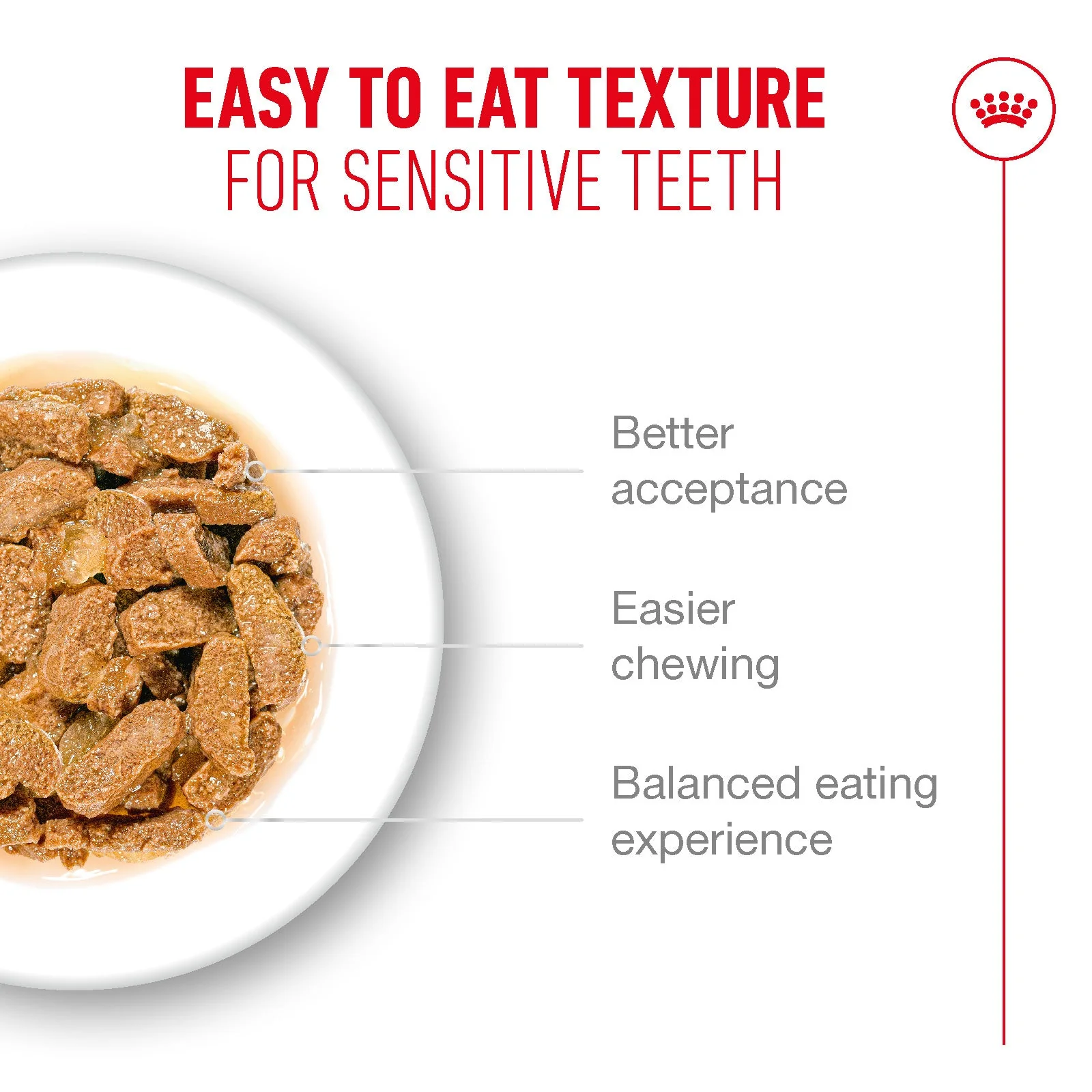Royal Canin Ageing 11+ Senior Wet Cat Food Chunks In Jelly - Image 6