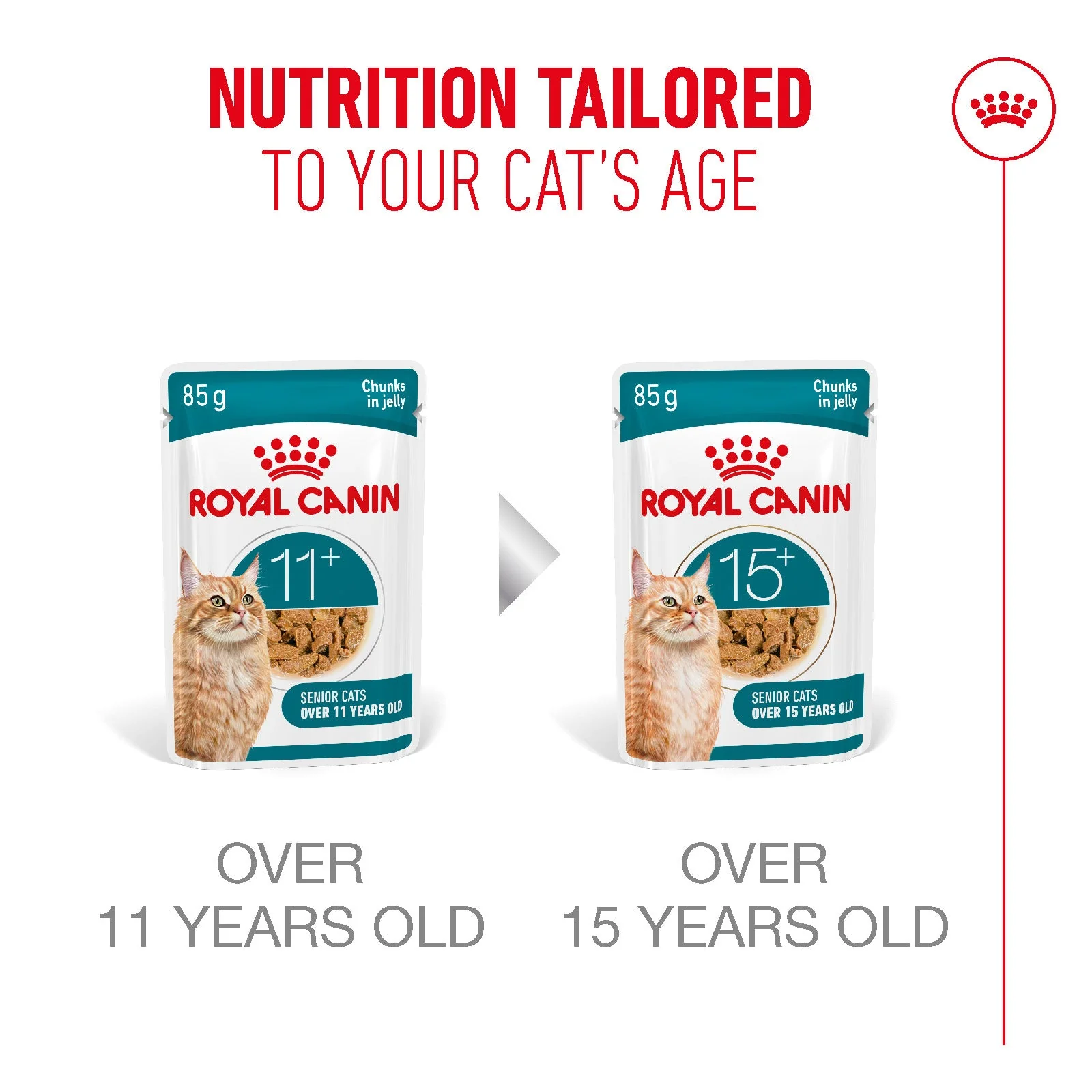 Royal Canin Ageing 11+ Senior Wet Cat Food Chunks In Jelly - Image 7