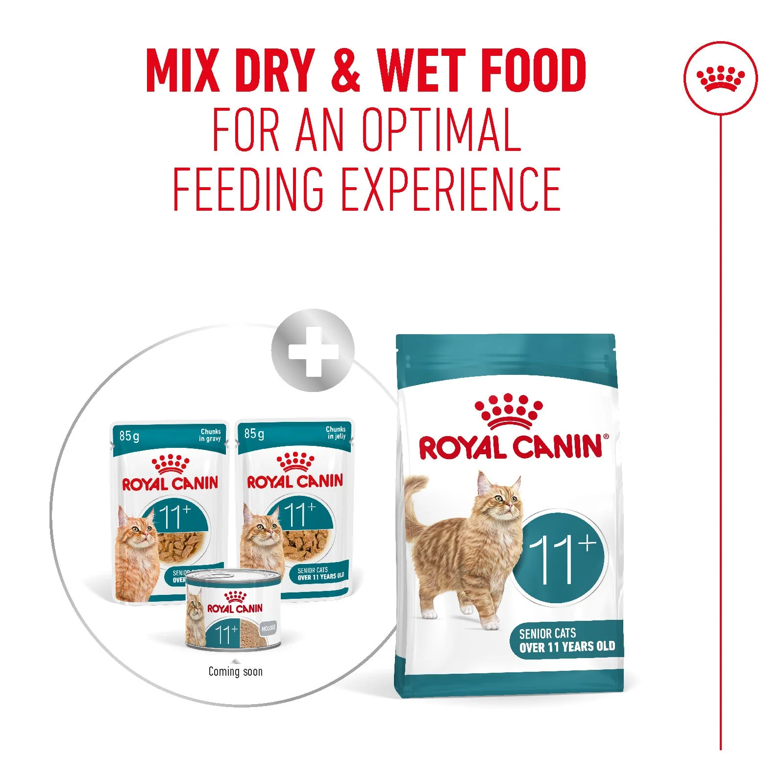 Royal Canin Ageing 11+ Senior Wet Cat Food Chunks In Jelly - Image 8