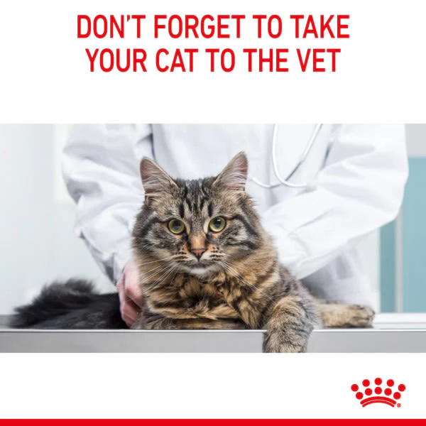 Royal Canin Appetite Control Adult Sterilised Wet Cat Food - Gravy - Image 13