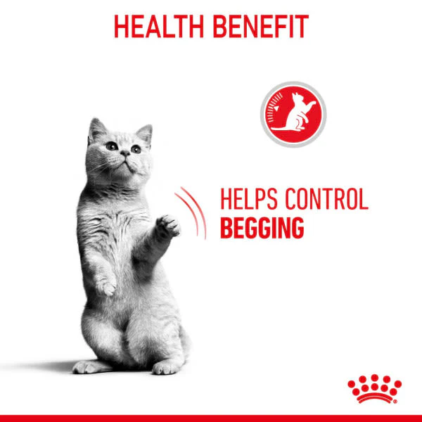 Royal Canin Appetite Control Adult Sterilised Wet Cat Food - Gravy - Image 7