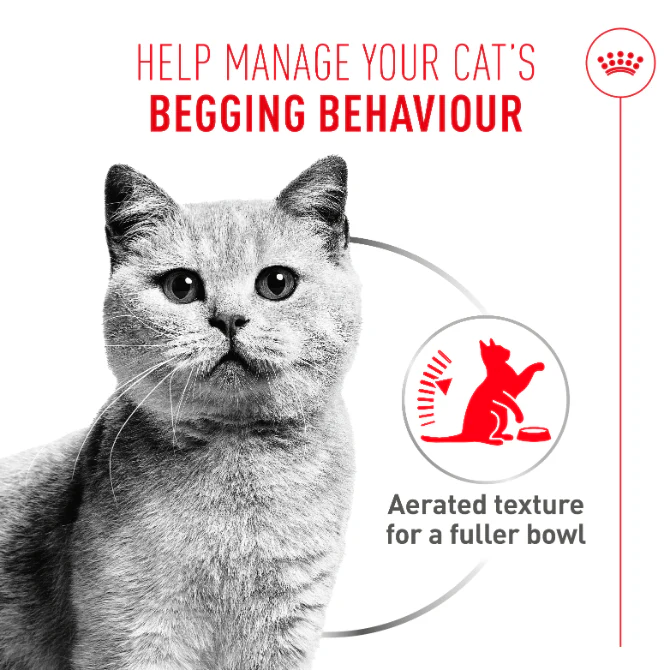 Royal Canin Appetite Control Care Airlift Mousse Adult Wet Cat Food - Image 3