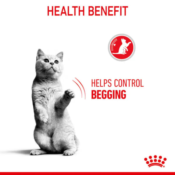 Royal Canin Appetite Control Sterilised Adult Dry Cat Food - Image 5