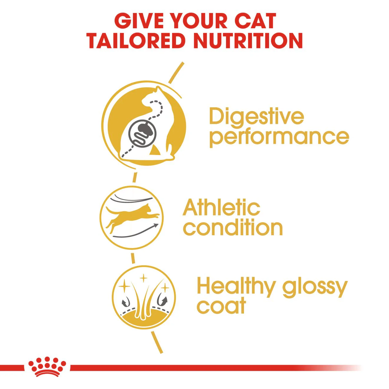 Royal Canin Bengal Adult Dry Cat Food - 400g - Image 3