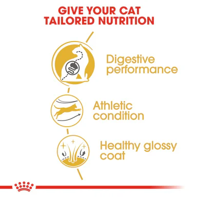Royal Canin Bengal Adult Dry Cat Food - Image 5