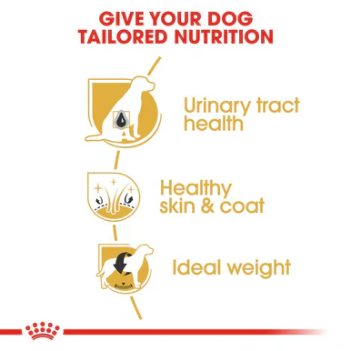 Royal Canin Bichon Frise Adult Dry Dog Food - Image 6