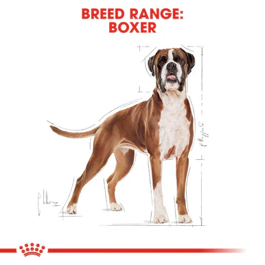 Royal Canin Boxer Adult Dry Dog Food - Image 3