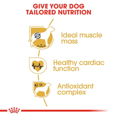 Royal Canin Boxer Adult Dry Dog Food - Image 5