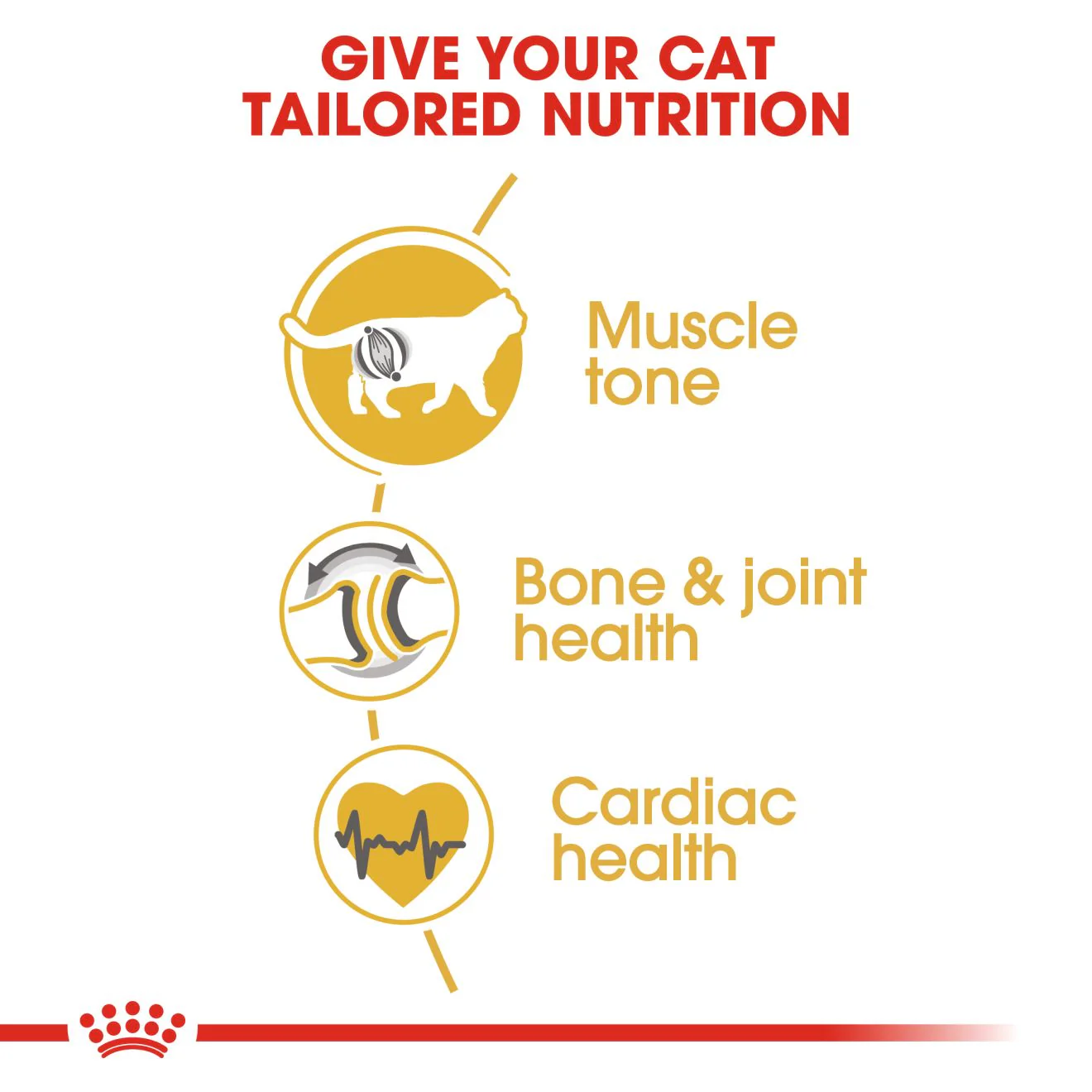 Royal Canin British Shorthair Adult Dry Cat Food - 400g - Image 3