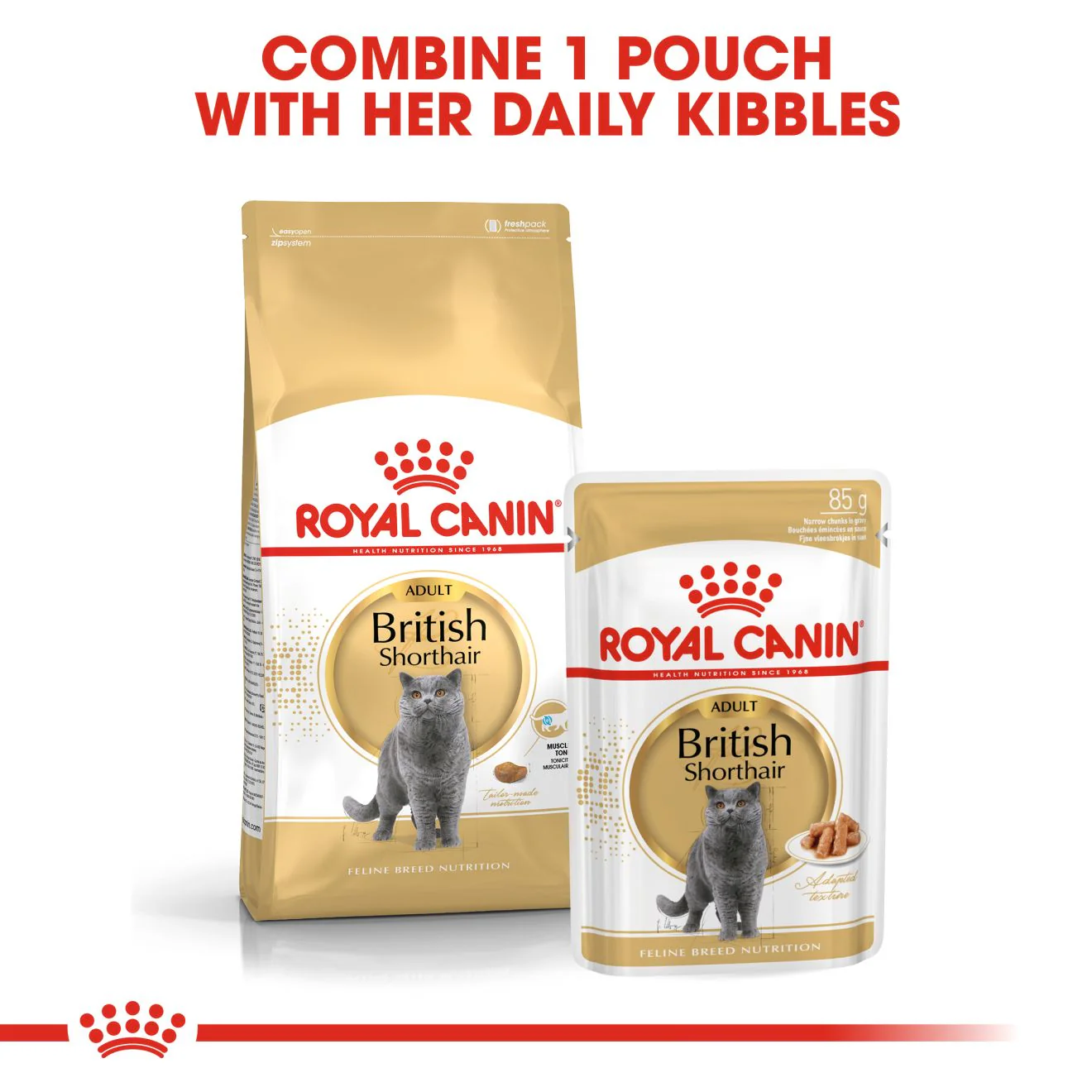 Royal Canin British Shorthair Adult Dry Cat Food - 400g - Image 8