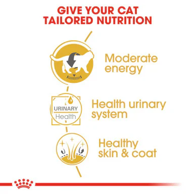 Royal Canin British Shorthair Adult Dry Cat Food - Image 8