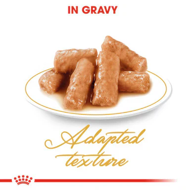 Royal Canin British Shorthair Adult Dry Cat Food - Image 9