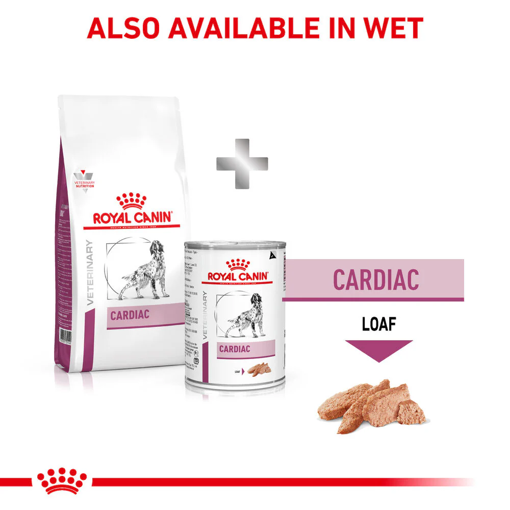 Royal Canin Cardiac Adult Wet Dog Food in Loaf - Image 10