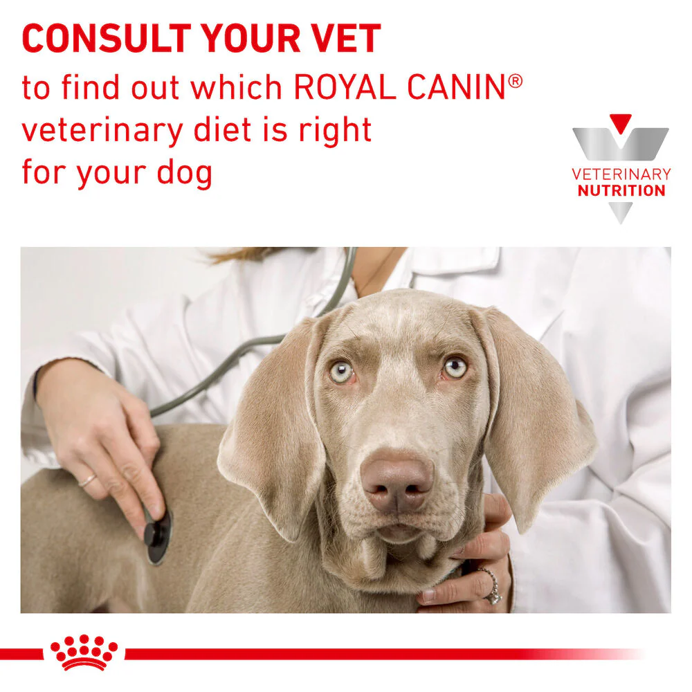 Royal Canin Cardiac Adult Wet Dog Food in Loaf - Image 9