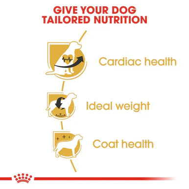 Royal Canin Cavalier King Charles Adult Dry Dog Food - Image 5