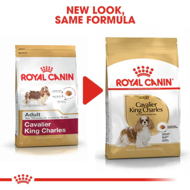 Royal Canin Cavalier King Charles Adult Dry Dog Food - Image 6