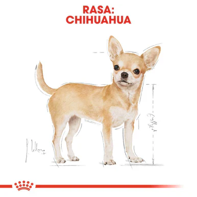 Royal Canin Chihuahua Adult Dry Dog Food - Image 3