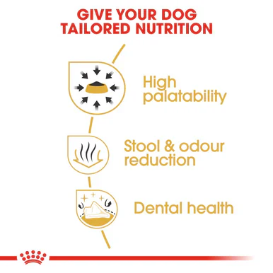 Royal Canin Chihuahua Adult Dry Dog Food - Image 4