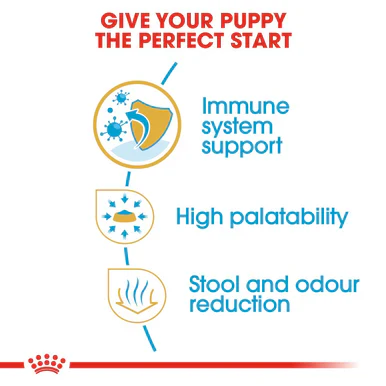 Royal Canin Chihuahua Puppy Dry Dog Food - Image 5
