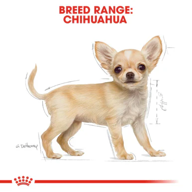 Royal Canin Chihuahua Puppy Dry Dog Food - Image 6