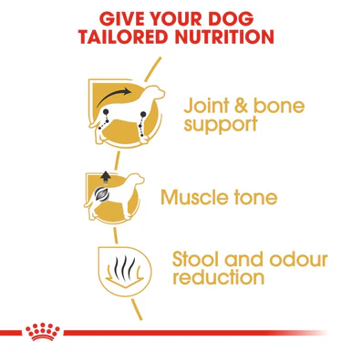 Royal Canin Dachshund Adult Dry Dog Food - Image 4