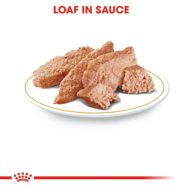 Royal Canin Dachshund Adult Wet Dog Food - Image 4