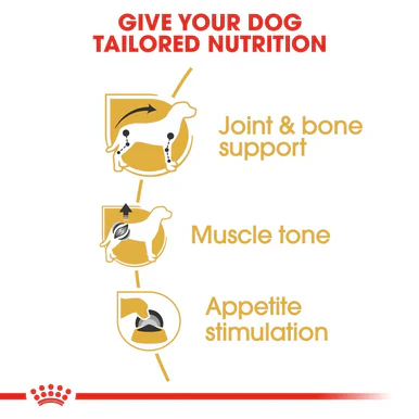Royal Canin Dachshund Adult Wet Dog Food - Image 8