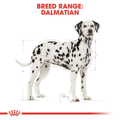 Royal Canin Dalmatian Adult Dry Dog Food - Image 3