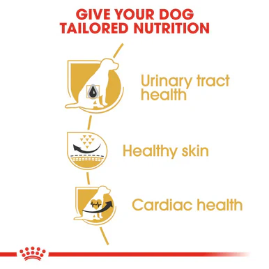 Royal Canin Dalmatian Adult Dry Dog Food - Image 4