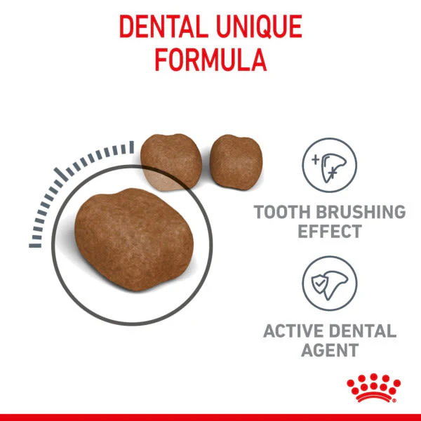 Royal Canin Dental Care Adult Dry Cat Food - Image 4