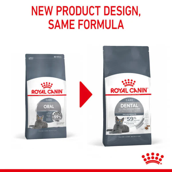 Royal Canin Dental Care Adult Dry Cat Food - Image 6