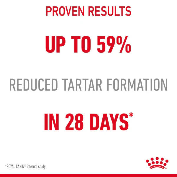 Royal Canin Dental Care Adult Dry Cat Food - Image 7