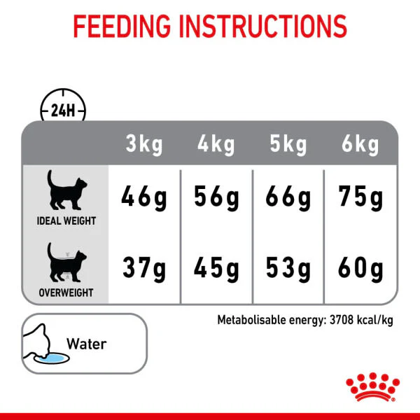 Royal Canin Dental Care Adult Dry Cat Food - Image 9