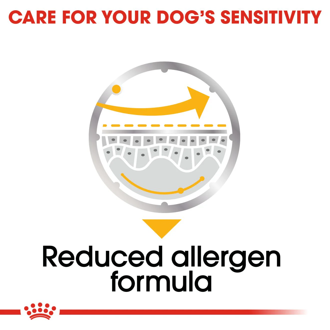 Royal Canin Dermacomfort Care Adult Wet Dog Food - Image 5