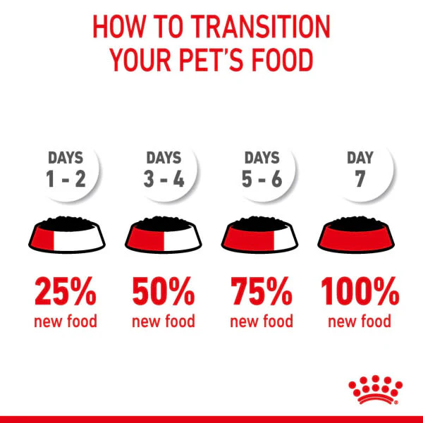 Royal Canin Digest Sensitive Adult Cat Wet Food - Image 12